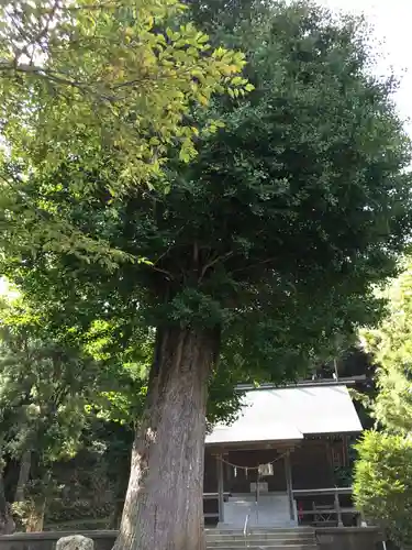 洲宮神社の自然