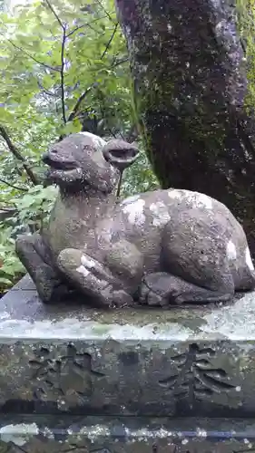 小坂神社の狛犬