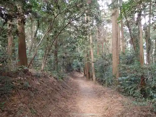 常陸二ノ宮　静神社の自然