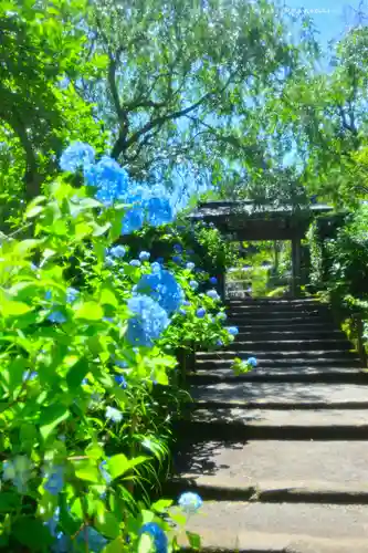 明月院(神奈川県)