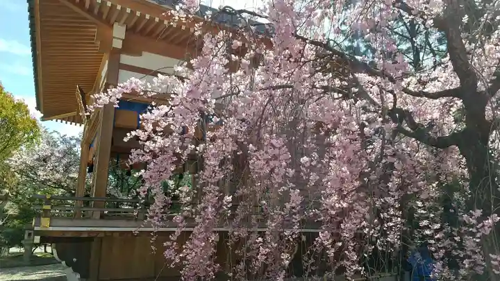 市原稲荷神社の自然