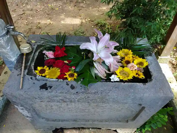 千代ケ岡八幡宮(栃木県)