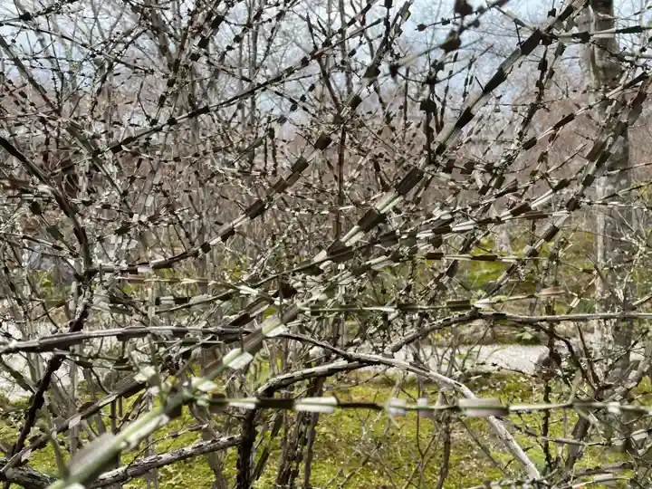 宝筐院(京都府)
