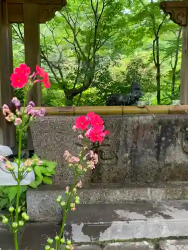 青龍山 吉祥寺の手水