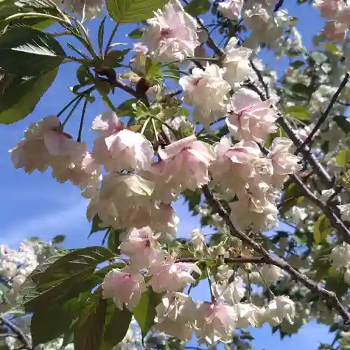 上地八幡宮(愛知県)