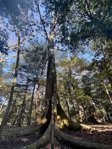 豊満神社の{uncategorized: "未分類", other: "その他", undefined: "問題あり", building: "その他建物", grave: "お墓", sacred_gate: "鳥居", guardian: "狛犬", statue: "像", buddha: "仏像", history: "歴史", nature: "自然", garden: "庭園", animal: "動物", pagoda: "塔", temizu: "手水舎", mountain_gate: "山門・神門", sanctuary: "本殿・本堂", subordinate: "末社・摂社", art: "芸術", scenery: "景色", jizo: "地蔵", ema: "絵馬", goshuin: "御朱印", omikuji: "おみくじ", items: "授与品その他", amulet: "お守り", goshuincho: "御朱印帳", eats: "食事", festival: "お祭り", votive_dance: "神楽", shichigosan: "七五三参", wedding: "結婚式", experience: "体験その他", initially: "初詣", around: "周辺", anti_infection: "感染症対策"}