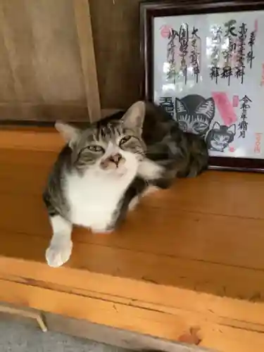 玉野御嶽神社の動物