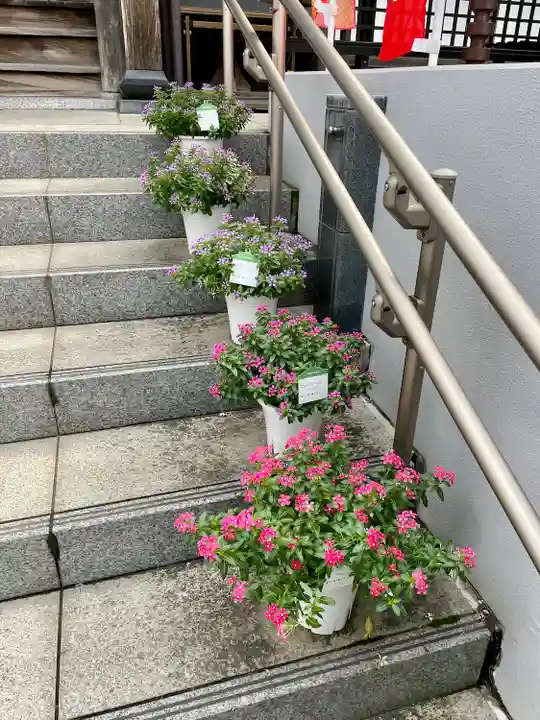 池上鬼子母神堂(厳定院別院)(東京都)