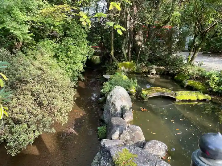 越中一宮 髙瀬神社の自然