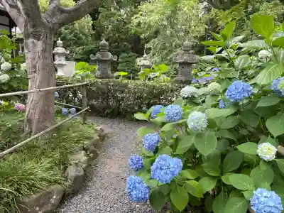 頼光寺(兵庫県)