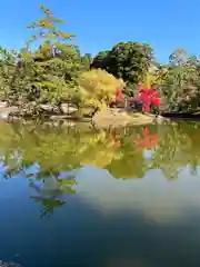 東大寺(奈良県)