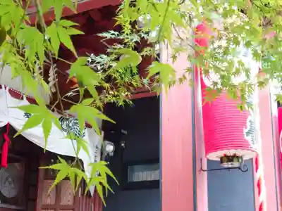 陽運寺の本殿・本堂