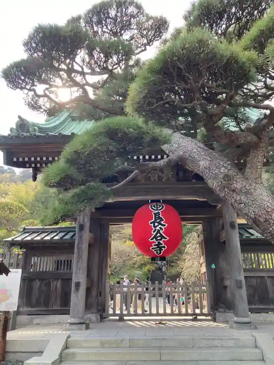 長谷寺の山門・神門