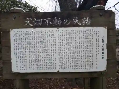 崇真寺(開運犬り切不動尊)の歴史