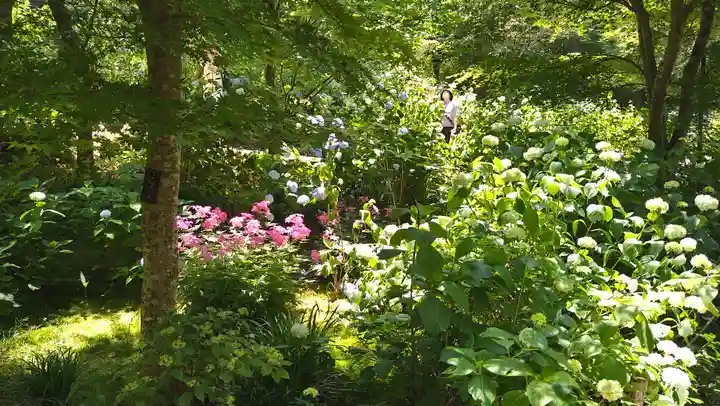 三千院門跡(京都府)