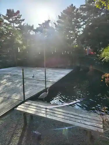 平塚八幡宮の{uncategorized: "未分類", other: "その他", undefined: "問題あり", building: "その他建物", grave: "お墓", sacred_gate: "鳥居", guardian: "狛犬", statue: "像", buddha: "仏像", history: "歴史", nature: "自然", garden: "庭園", animal: "動物", pagoda: "塔", temizu: "手水舎", mountain_gate: "山門・神門", sanctuary: "本殿・本堂", subordinate: "末社・摂社", art: "芸術", scenery: "景色", jizo: "地蔵", ema: "絵馬", goshuin: "御朱印", omikuji: "おみくじ", items: "授与品その他", amulet: "お守り", goshuincho: "御朱印帳", eats: "食事", festival: "お祭り", votive_dance: "神楽", shichigosan: "七五三参", wedding: "結婚式", experience: "体験その他", initially: "初詣", around: "周辺", anti_infection: "感染症対策"}