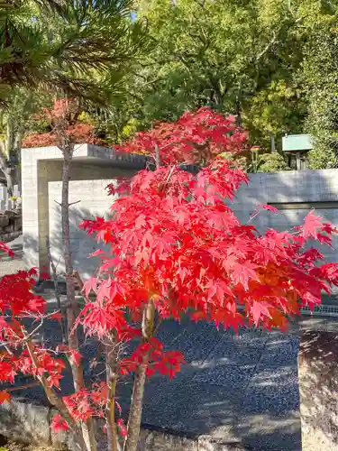 伊勢の国 四天王寺(三重県)