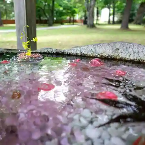 帯廣神社の手水舎