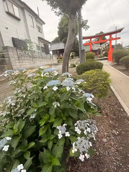 大野神社(埼玉県)