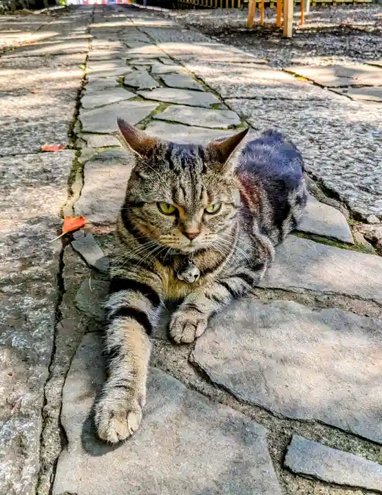 ときわ台天祖神社(東京都)