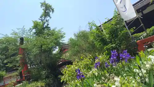 賀茂御祖神社（下鴨神社）の庭園