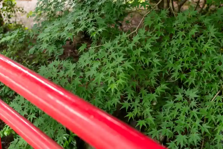 越中一宮 髙瀬神社(富山県)