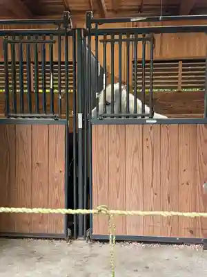 丹生川上神社（下社）(奈良県)
