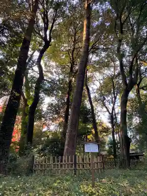 明治神宮(東京都)