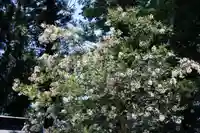 田村神社の自然