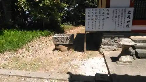 松尾神社の歴史