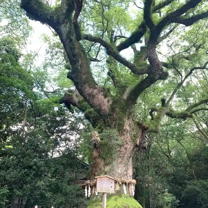 熱田神宮の自然