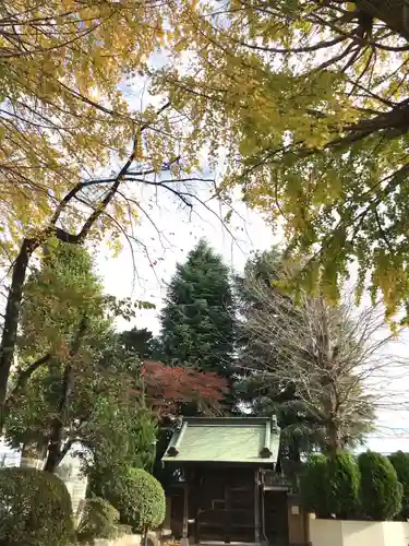 円福寺の山門