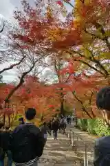 禅林寺（永観堂）(京都府)