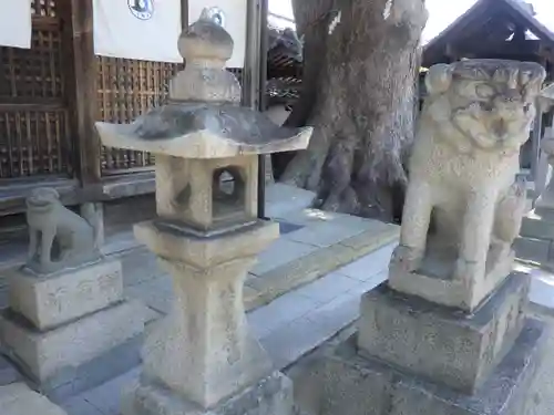 踞尾八幡神社の狛犬