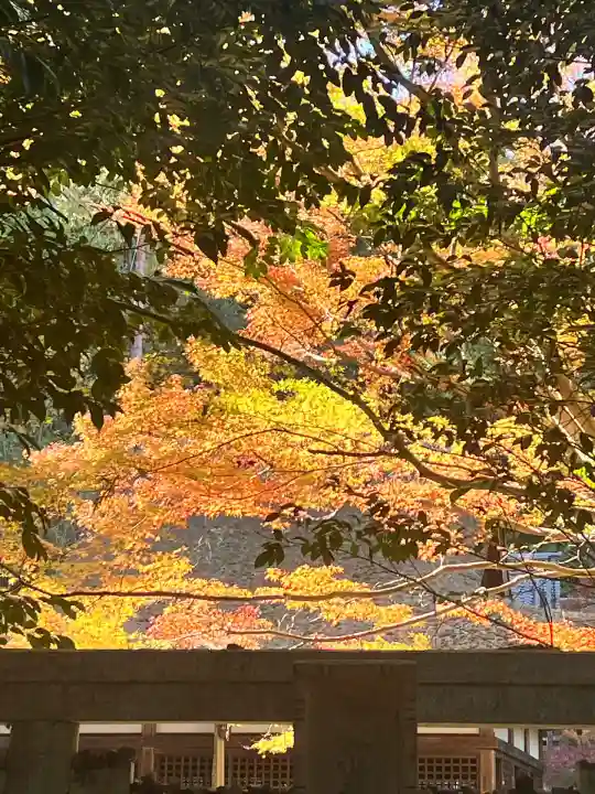 白山神社(滋賀県)