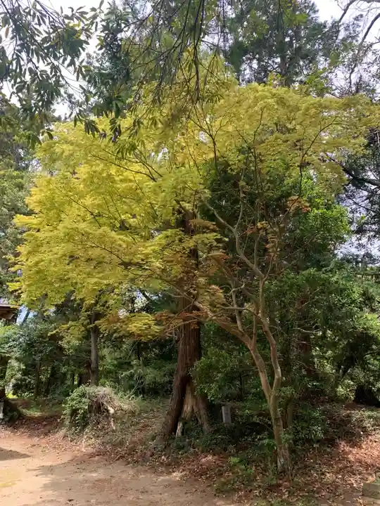 熊野神社(千葉県)