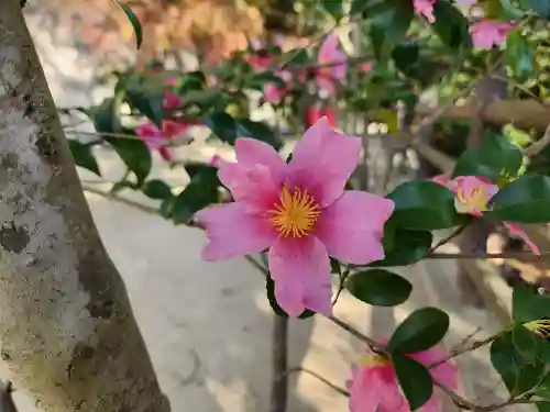 福祥寺（須磨寺）の自然