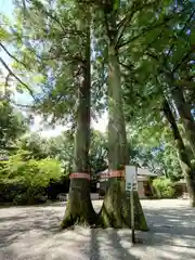 雄山神社前立社壇(富山県)