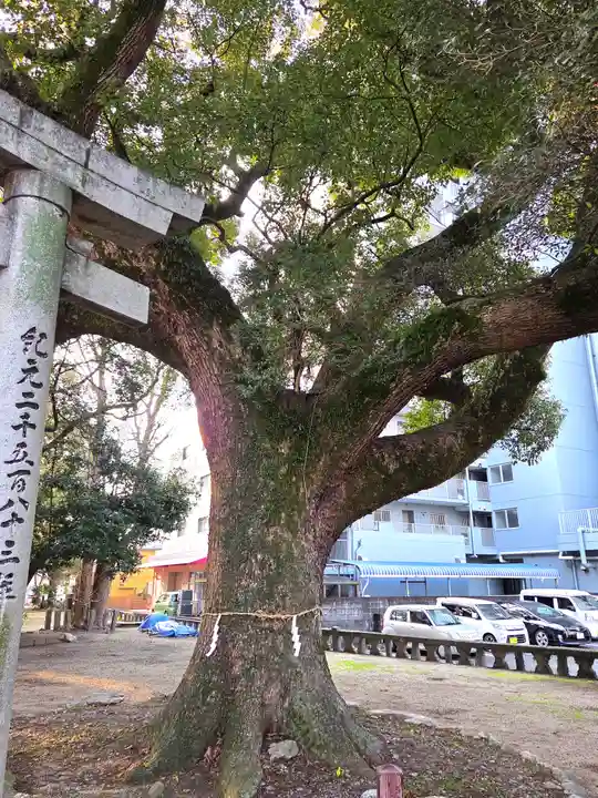 諏訪神社(福岡県)