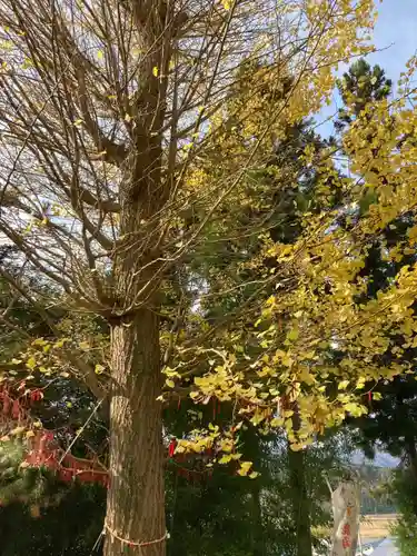 鹿角八坂神社の御朱印