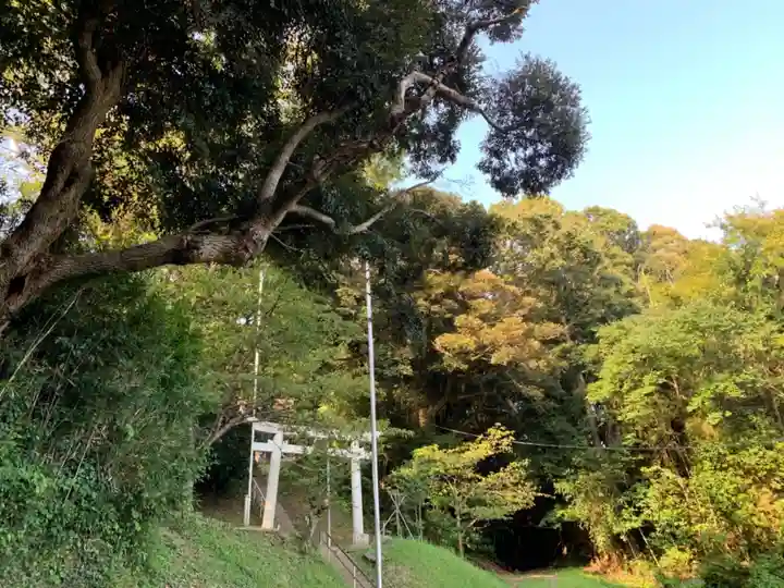 八幡神社の鳥居