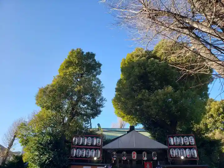 幡ケ谷氷川神社(東京都)