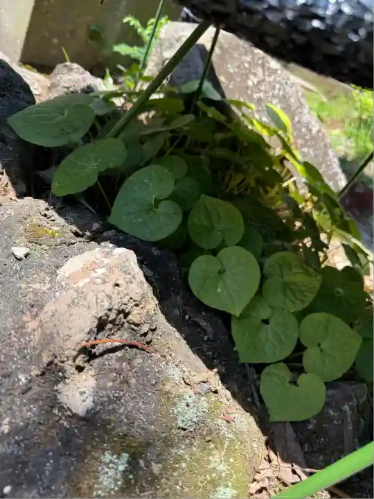 土津神社|こどもと出世の神さま(福島県)