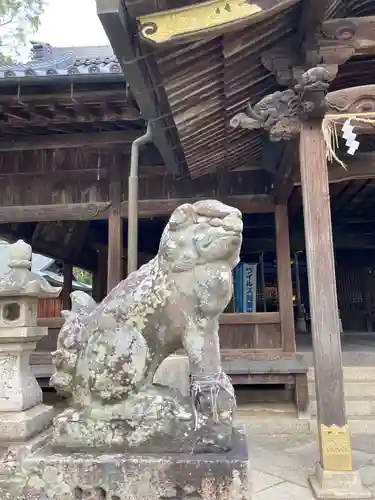 魚吹八幡神社の狛犬