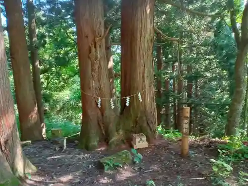 大山祇神社(福島県)