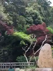 深大寺の庭園