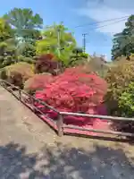 養寿寺(群馬県)