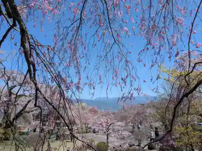 宝積山光前寺(長野県)