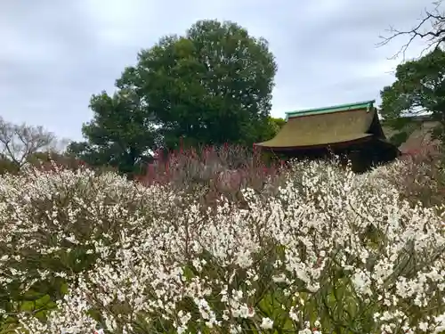 道明寺天満宮の庭園