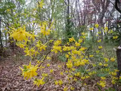 厚別神社(北海道)